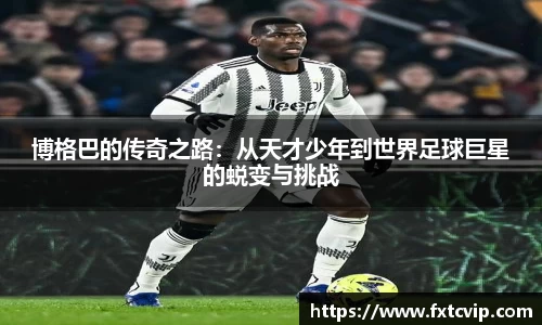 英国正版365官方网站